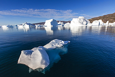 Grounded icebergs, Rode O (Red Island), Scoresbysund, Northeast Greenland, Polar Regions