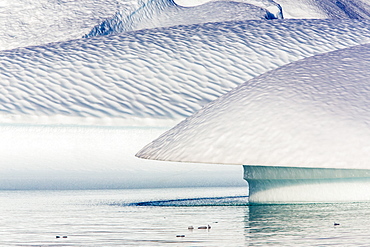 Grounded icebergs, Rode O (Red Island), Scoresbysund, Northeast Greenland, Polar Regions