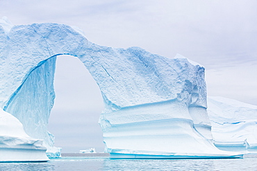 Grounded icebergs, Sydkap, Scoresbysund, Northeast Greenland, Polar Regions