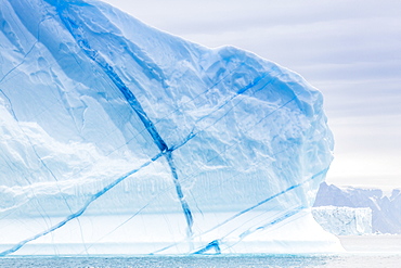 Grounded icebergs, Sydkap, Scoresbysund, Northeast Greenland, Polar Regions