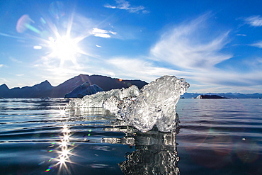 Floating ice, Vikingbukta (Viking Bay), Scoresbysund, Northeast Greenland, Polar Regions