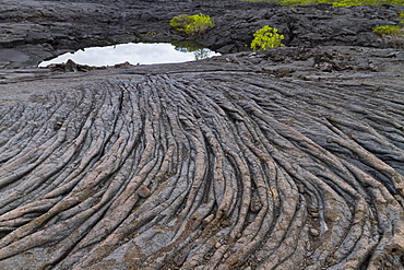 Lava flow, Fernandina Island, Galapagos Islands, UNESCO World Heritage Site, Ecuador, South America