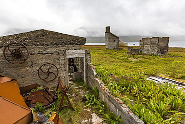 Abandoned whale shore processing station, Talknafjorour, Iceland, Polar Regions