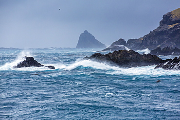 Elsehul Bay, South Georgia, South Atlantic Ocean, Polar Regions