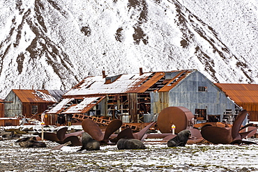 The abandoned Norwegian Whaling Station at Stromness Bay, South Georgia, South Atlantic Ocean, Polar Regions