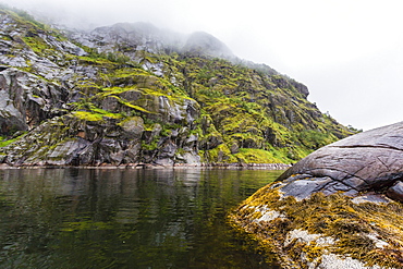 View of Trolfjord, Nordland, Norway, Scandinavia, Europe 