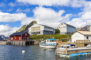 Norwegian cod fishing town of Reine, Lofoton Islands, Norway, Scandinavia, Europe 