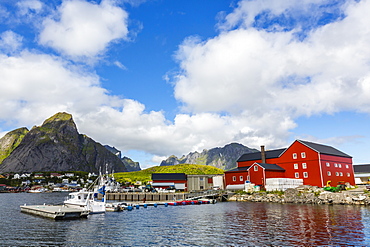 Norwegian cod fishing town of Reine, Lofoton Islands, Norway, Scandinavia, Europe 