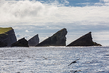 Rock formation known as Gada's Stack on Foula Island, Shetlands, Scotland, United Kingdom, Europe 