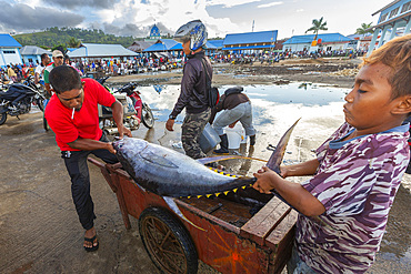 Vendors selling fresh fish at the fish market in Sorong, the largest city of the Indonesian province of Southwest Papua, Indonesia, Southeast Asia, Asia