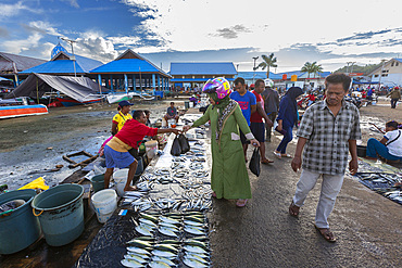 Vendors selling fresh fish at the fish market in Sorong, the largest city of the Indonesian province of Southwest Papua, Indonesia, Southeast Asia, Asia