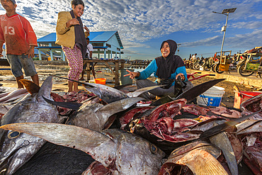 Vendors selling fresh fish at the fish market in Sorong, the largest city of the Indonesian province of Southwest Papua, Indonesia, Southeast Asia, Asia