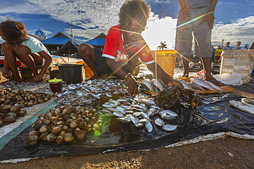 Vendors selling fresh fish at the fish market in Sorong, the largest city of the Indonesian province of Southwest Papua, Indonesia, Southeast Asia, Asia