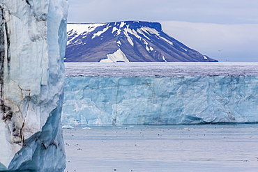 Negribreen (Negri Glacier), Olav V Land, Spitsbergen, Svalbard Archipelago, Norway, Scandinavia, Europe 