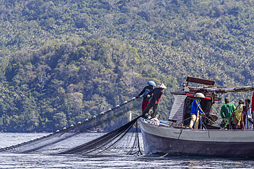 Tuna fisherman retrieving a purse-seine net, Bangka Island, off the northeastern tip of Sulawesi, Indonesia, Southeast Asia, Asia