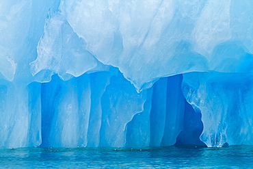 Glacial ice calved from the LeConte Glacier, Outside Petersburg, Southeast Alaska, United States of America, North America 