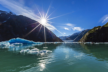 Calved glacier ice in Tracy Arm-Ford's Terror Wilderness area, Southeast Alaska, United States of America, North America 