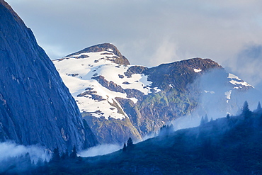 Fog in trees in Tracy Arm-Ford's Terror Wilderness area, Southeast Alaska, United States of America, North America 