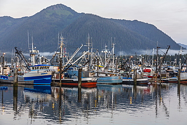 The Norwegian fishing town of Petersburg, Southeast Alaska, United States of America, North America