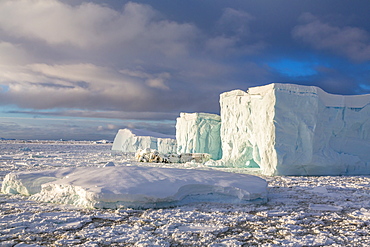 Huge iceberg amongst sea ice near Petermann Island, western side of the Antarctic Peninsula, Southern Ocean, Polar Regions