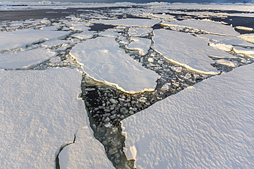 First year sea ice and brash ice near Petermann Island, western side of the Antarctic Peninsula, Southern Ocean, Polar Regions