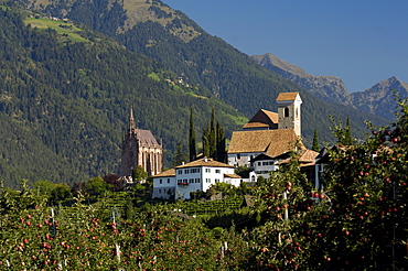 Houses and church of the mountain village Schenna in the sunlight, South Tyrol, Italy, Europe