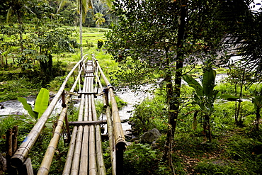 Bamboo bridge, Karangasem, Bali, Indonesia