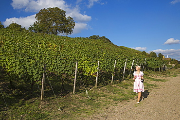 Wine princess Christina Schuhmann anear the vineyard of Weingut Dahms winery, Sennfeld, near Schweinfurt, Franconia, Bavaria, Germany