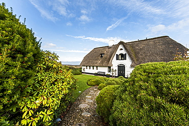 Thatched-roof house, Kampen, Sylt, Schleswig-Holstein, Germany