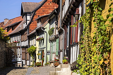 Half-timbered houses in an alley on Schlossberg Quedlinburg, beneath the Castle and Collegiate Church of St Servatius, Quedlinburg, Harz, Saxony-Anhalt, Germany, Europe