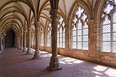 Cloister, Walkenried Monastery, Harz, Lower-Saxony, Germany, Europe