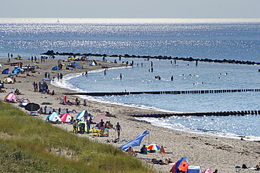 Ahrenshoop beach, Baltic Sea, Fischland-Darss-Zingst, Mecklenburg-Western Pomerania, Germany