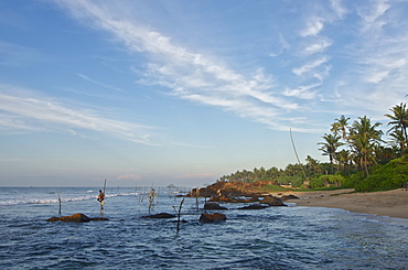 Stilt fishermen in the early morning in front of a rocky coastline near Weligama, South Sri Lanka