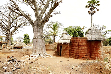 Traditional loam house in the area of the Somba tribe, Koussoucoingou, Atakora Department, Benin