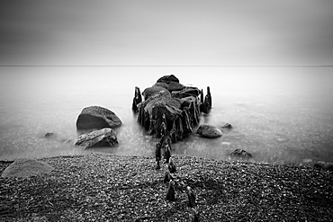 Groynes and moss covered stones in the morning light, Buelk, Strande, Kiel Fjord, Schleswig-Holstein, Germany