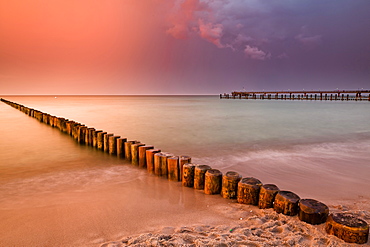 Groynes on the beach in the evening, Zingst, Darss, Baltic Sea, Mecklenburg-Vorpommern, Germany