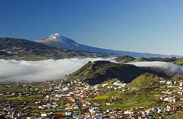 view from Mirador La Jardina, viewpoint, San Cristobal de La Laguna, town, Teide mountain with snow, 3718m, the islandÂ´s landmark, highest point in Spain, volcanic mountain, Tenerife, Canary Islands, Spain, Europe