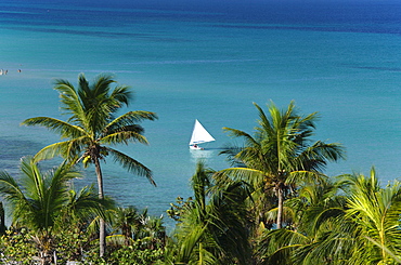 View along Palmtrees to a Sailboat, Varadero, Matanzas, Cuba, West Indies