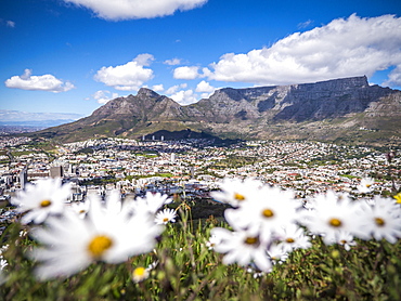 View from Signal Hill over Cape Town to Table Mountain, Western Cape, South Africa