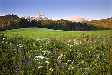 Watzmann and Hochkalter in the morning light, Berchtesgaden region, Berchtesgaden National Park, Upper Bavaria, Germany