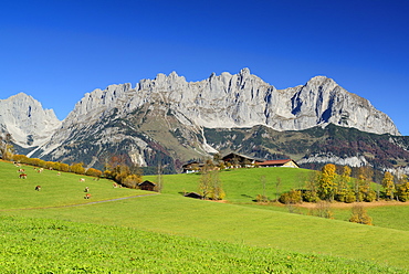 Wilder Kaiser from south with Karlspitzen, Regalmspitze, Ackerlspitze and Maukspitze, Wilder Kaiser, Kaiser range, Tyrol, Austria