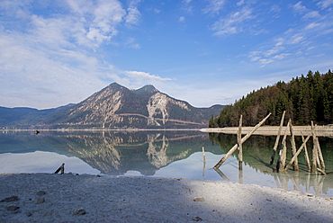 Wooden poles on the shore of Walchensee at low tide overlooking the Herzogstand, Walchensee, Bavaria, Germany