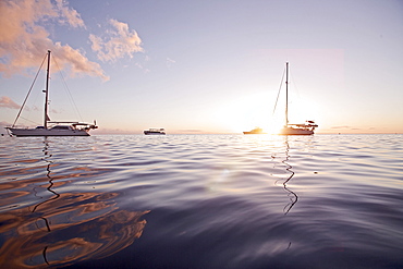 Sailboats in backlight, Dominica, Lesser Antilles, Caribbean