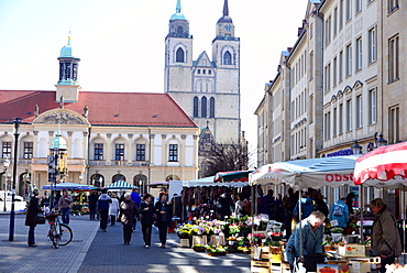 Market square at the old town hall with church, Johanniskirche, Magdeburg, Saxony-Anhalt, Germany