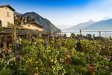 Menaggio at Lake Como, Lago di Como, Province of Como, Lombardy, Italy