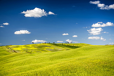 landscape, near San Quirico d`Orcia, Val d`Orcia, province of Siena, Tuscany, Italy, UNESCO World Heritage