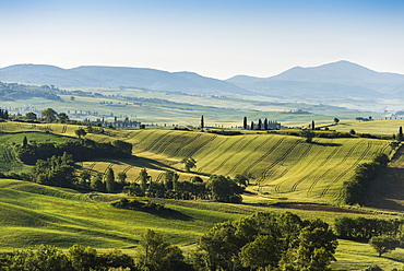 landscape near Pienza, Val d`Orcia, province of Siena, Tuscany, Italy, UNESCO World Heritage