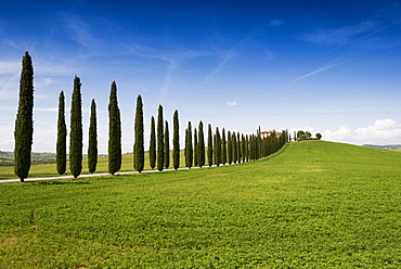 country residence and cypress trees, near San Quirico d`Orcia, Val d`Orcia, province of Siena, Tuscany, Italy, UNESCO World Heri