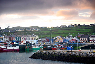 Dingle harbour in the evening, Dingle peninsula, Kerry, West coast, Ireland