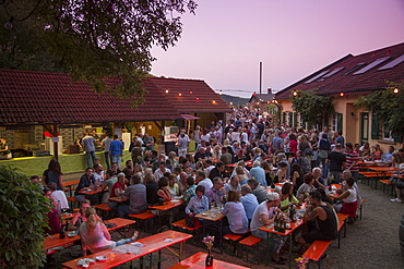 People sitting outside Dahms winery during a Weinfest an der Peterstirn, Schweinfurt, Franconia, Bavaria, Germany